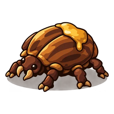 Sap Beetle