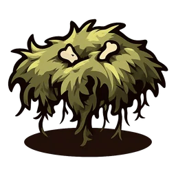 Crypt Moss