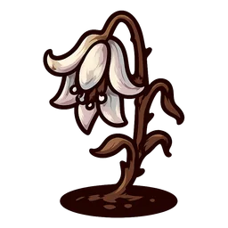 Grave Lily