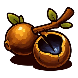 Oak Gall